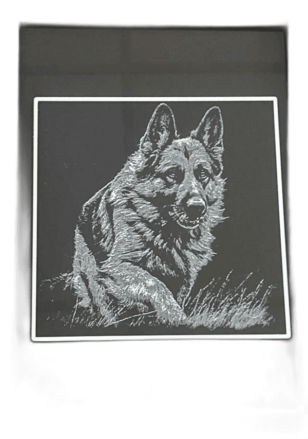 Portraits d'animaux — Petit — 15 cm