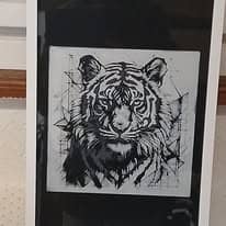 Portrait de tigre au trait