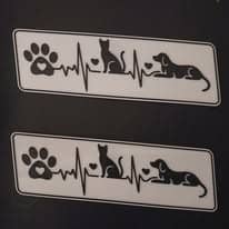 Plaques chien et chat