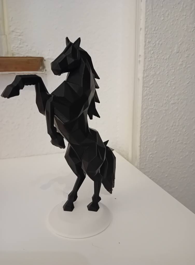 Cheval noir – Image 2